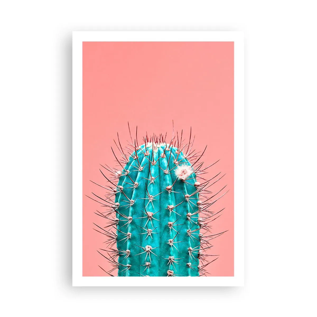 Pôster - Apenas olhe - 61x91 cm