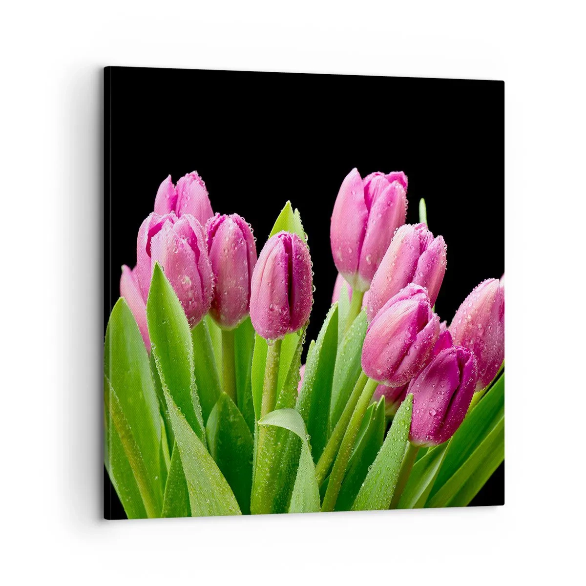 Quadro em tela - Alegria lilás da primavera - 60x60 cm