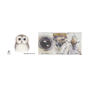 Amostra de papel de parede Premium Canvas - Olhe-me nos olhos - Coruja, Pássaro, Gráficos - 100x30 cm