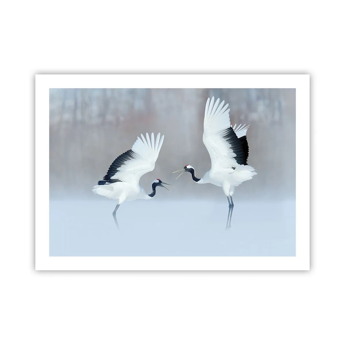 Pôster - Dança no nevoeiro - 70x50 cm