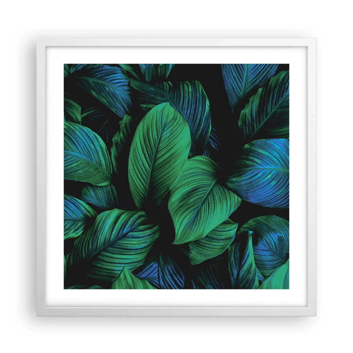 Pôster em moldura branca - Na multidão verde - 50x50 cm