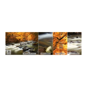 Amostra de papel de parede autocolante Deluxe Sticker - Um riacho na floresta dourada - Paisagem, Floresta, Córrego da montanha - 100x30 cm