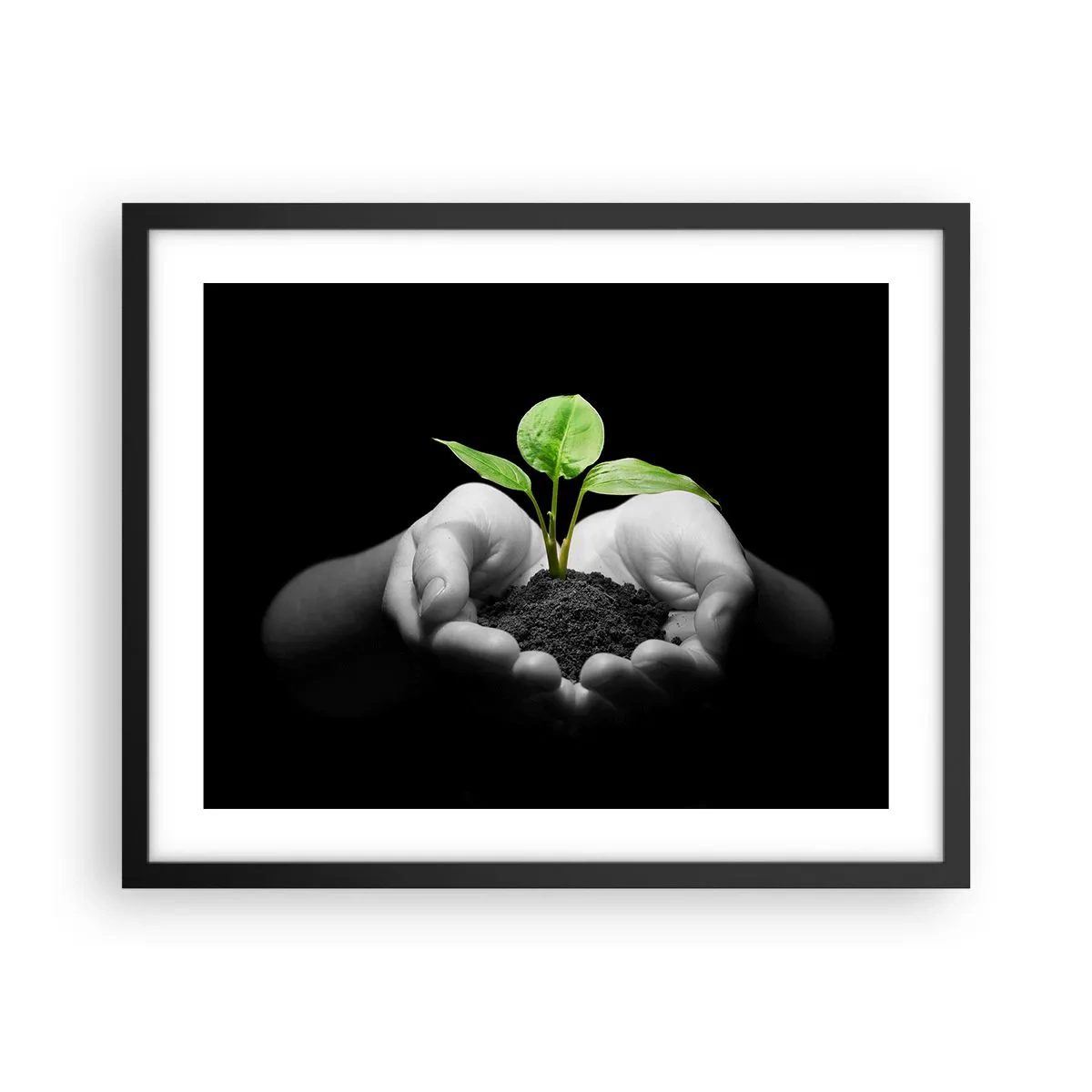 Pôster com moldura preta - Eu amo a natureza, eu a protejo - 50x40 cm