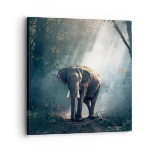 Quadro em tela - Um passeio descontraído - 30x30 cm