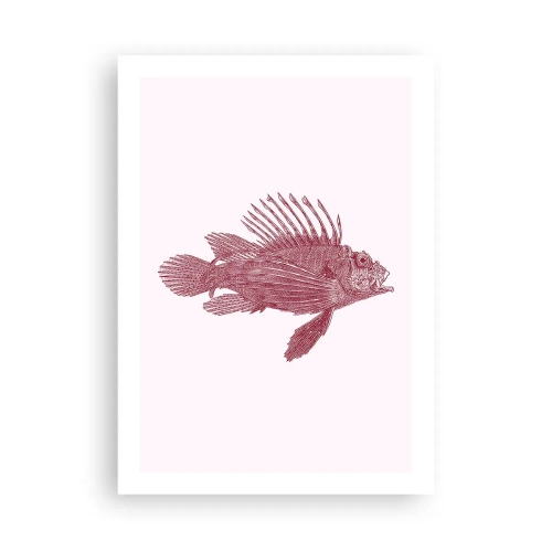 Pôster - Um habitante de águas exóticas - 50x70 cm