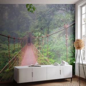 Papel de Parede Autocolante Deluxe Sticker - Suspenso acima das copas - Paisagem, Selva, Costa Rica - 250x175 cm