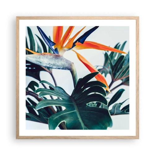 Pôster com moldura de carvalho claro - Arbusto de passarinho - 60x60 cm