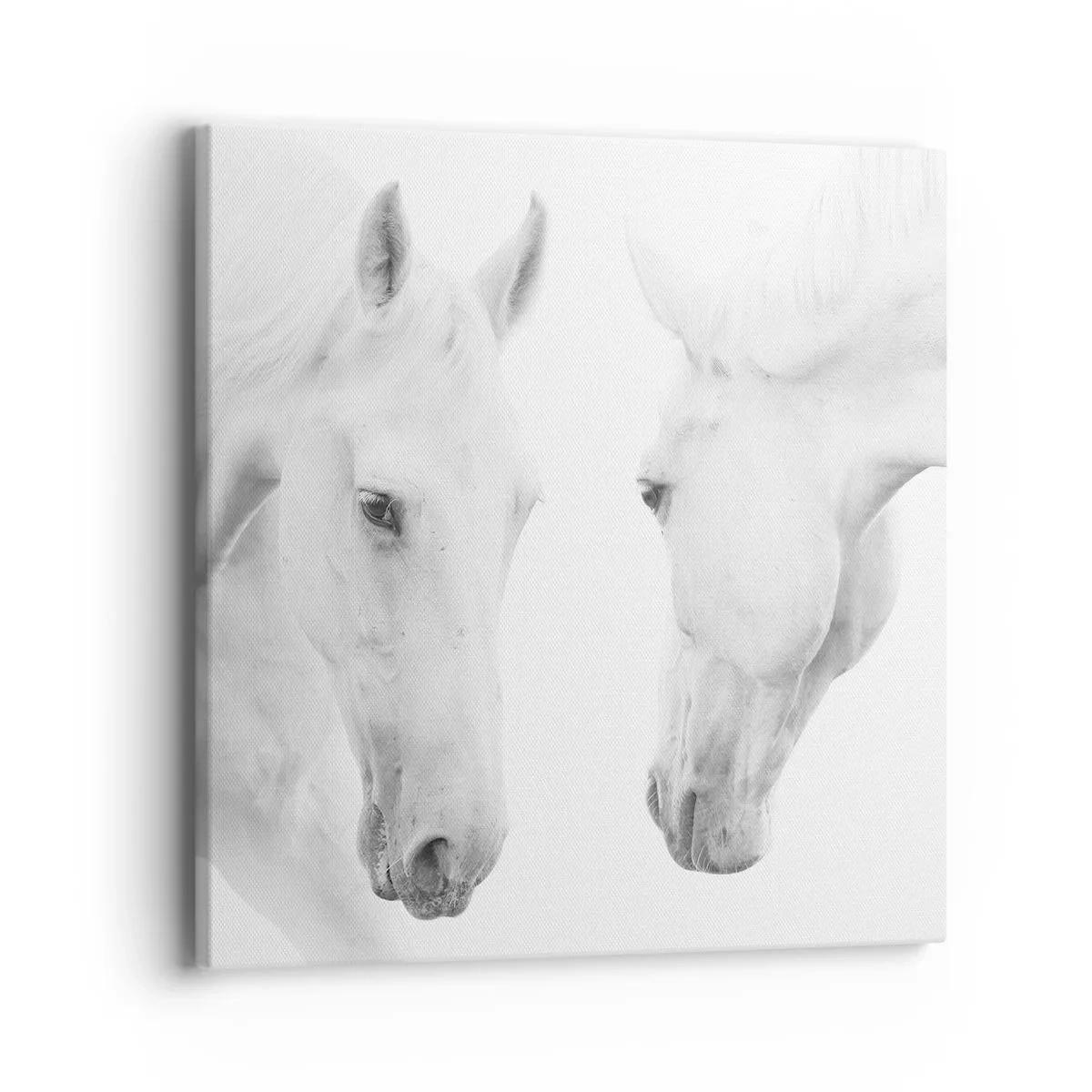 Quadro em tela - Será amizade...? - 40x40 cm