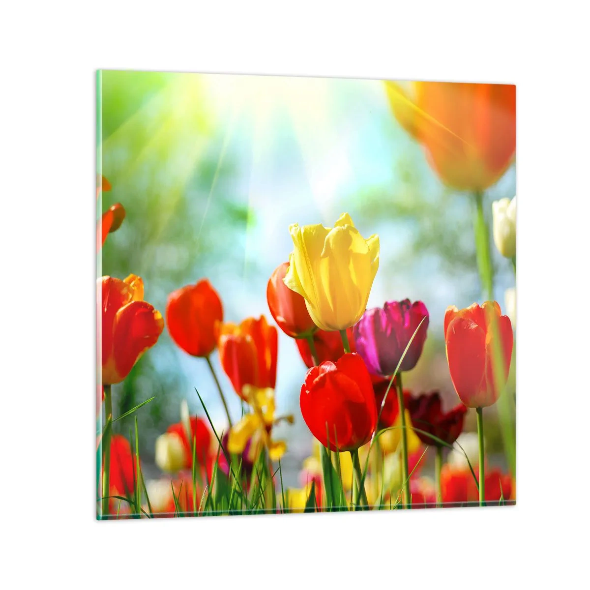 Quadro em vidro - Todas as cores do sol - 40x40 cm