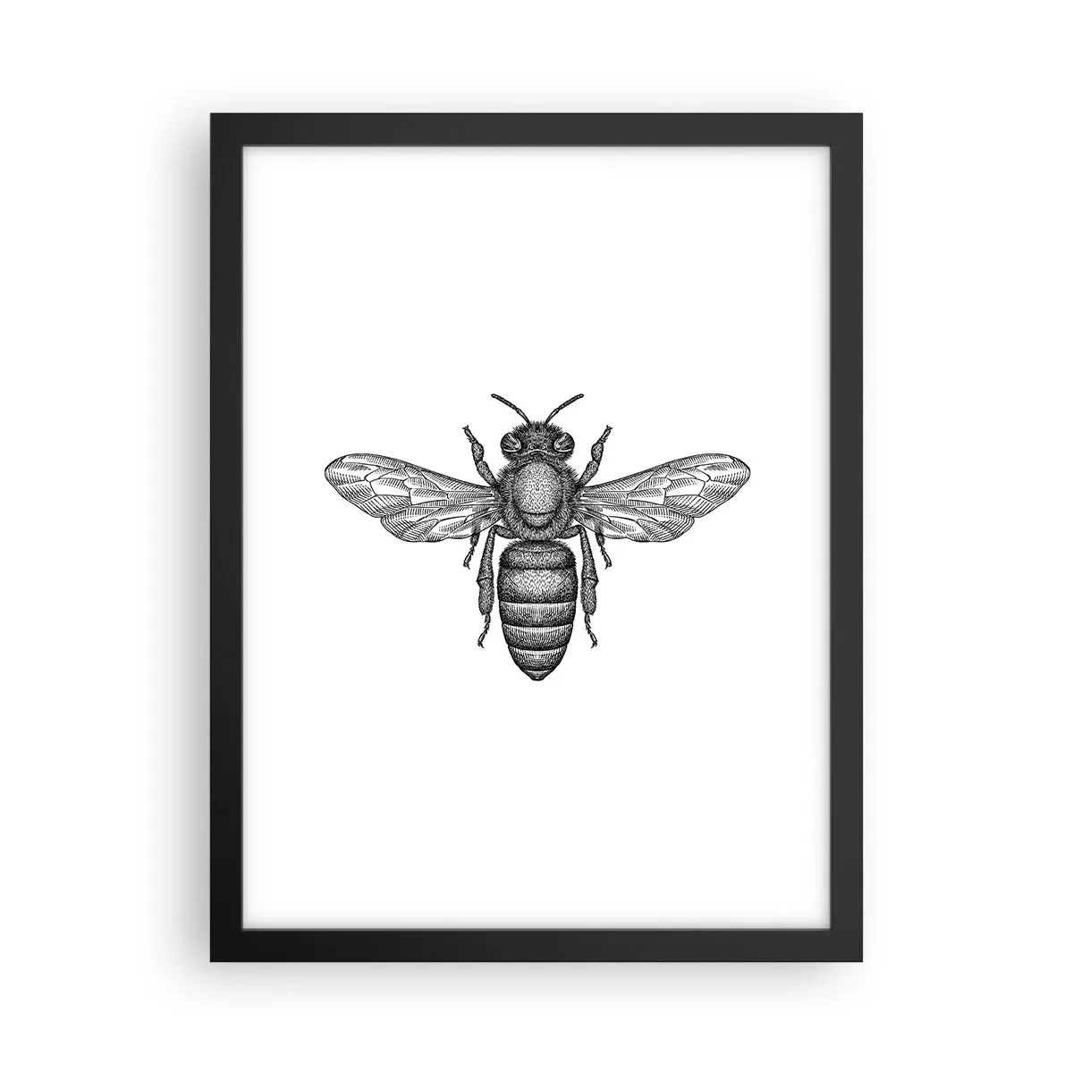 Pôster com moldura preta - Retrato de um inseto - 30x40 cm