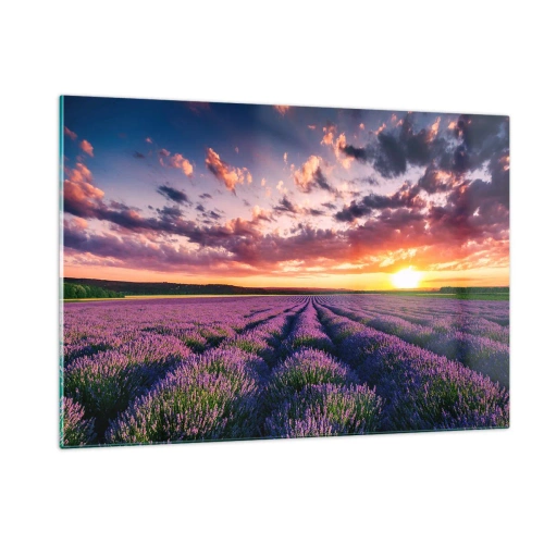 Quadro em vidro - O mundo da lavanda - 120x80 cm