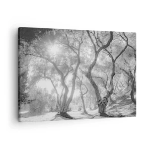 Quadro em tela - Vista em preto e branco de árvores em um olival com raios de sol - 70x50cm - No olival - Decoração de parede moderna para a sala de estar e quarto ARTTOR