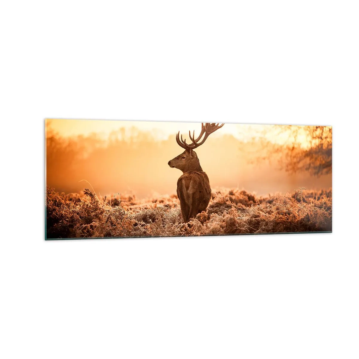 Quadro em vidro - O senhor da propriedade - 140x50 cm