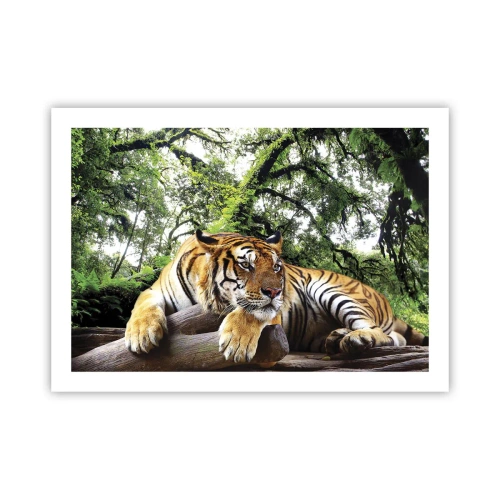 Pôster - Com os melhores cumprimentos - 70x50 cm