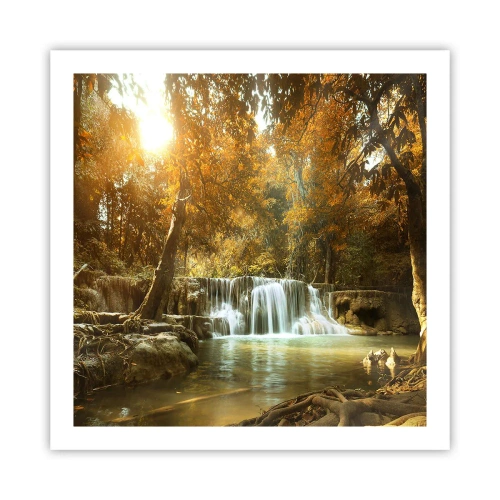Pôster - A cascata do parque - 60x60 cm