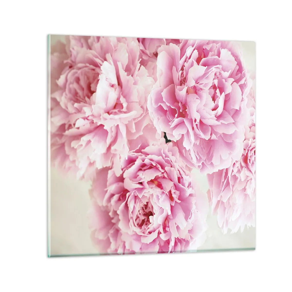 Quadro em vidro - Em esplendor rosa - 30x30 cm