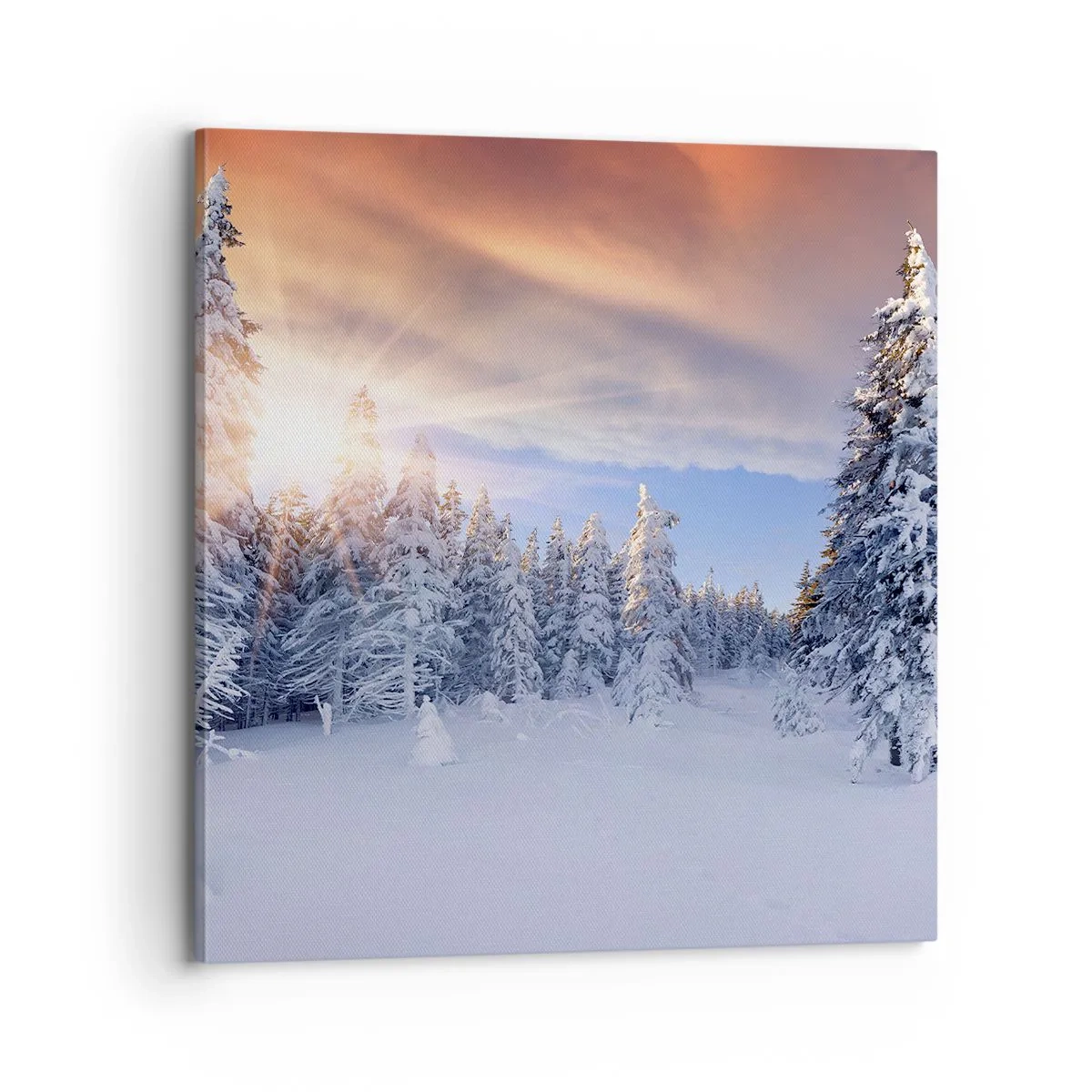 Quadro em tela - Espetáculo de neve da natureza - 70x70 cm