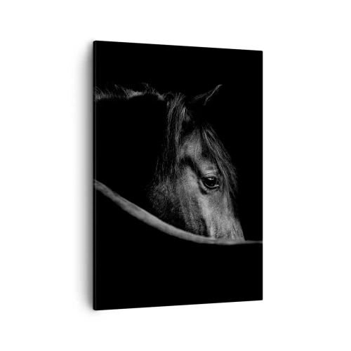 Quadro em tela - Príncipe Negro - 50x70 cm