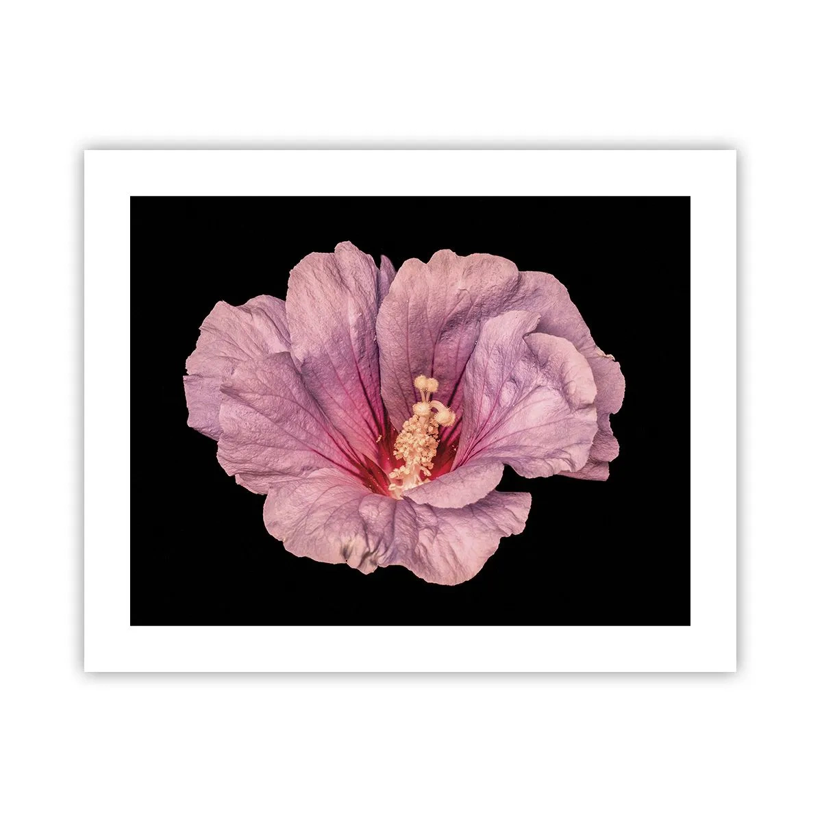 Pôster - Direto para o coração - 50x40 cm