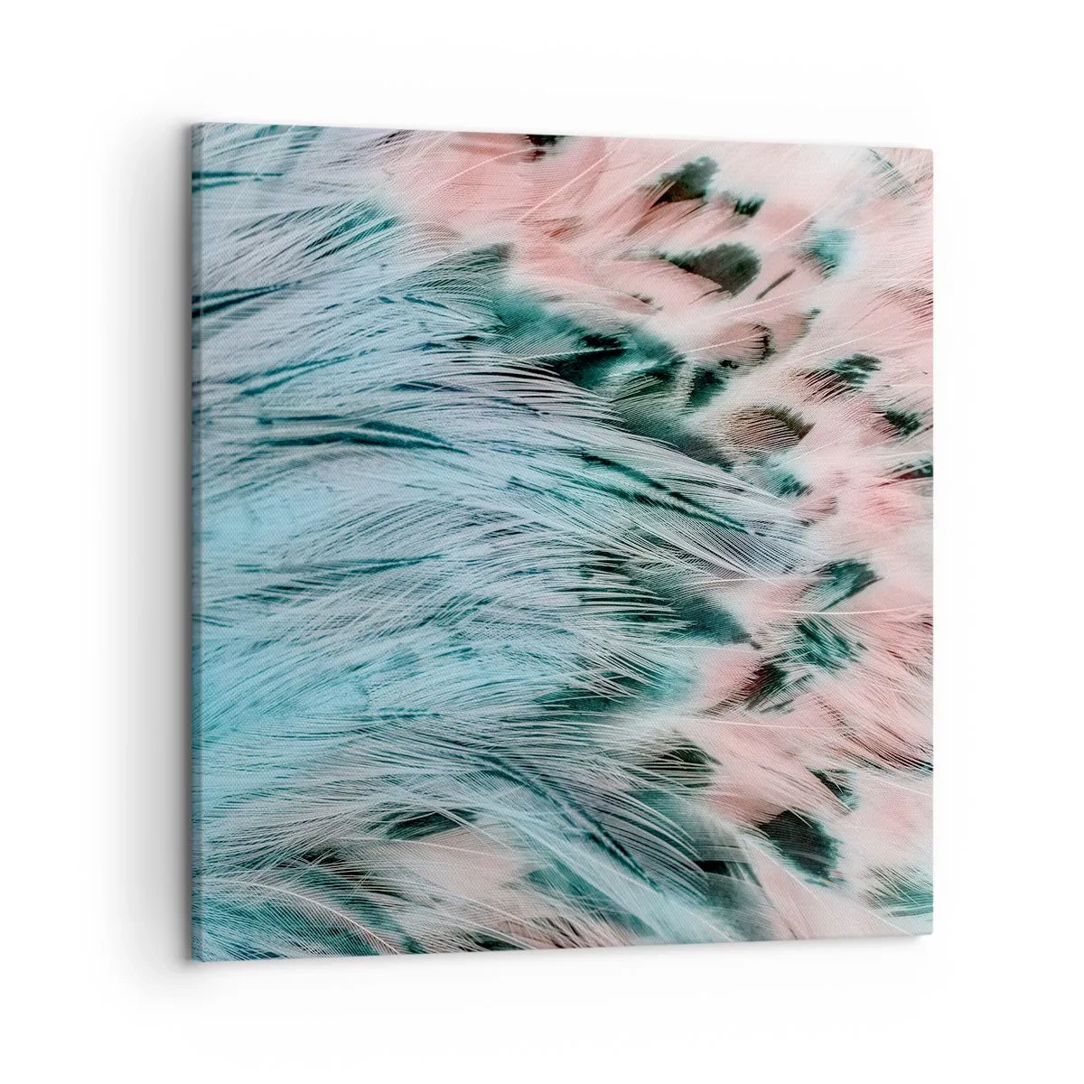 Quadro em tela - Penugem safira-rosa - 50x50 cm