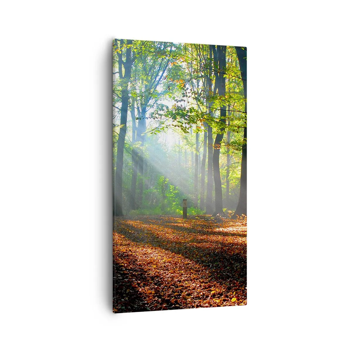 Quadro em tela - Luzes e sombras - 55x100 cm