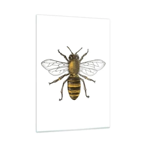 Quadro em vidro - Linda e boa - 50x70 cm