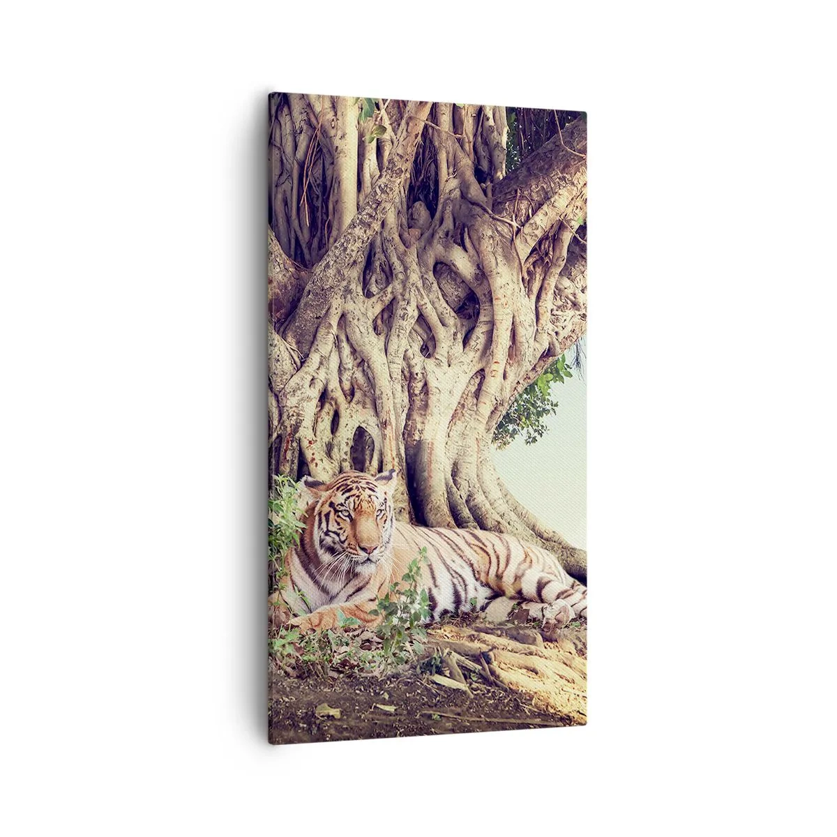 Quadro em tela - Vista do livro de Gênesis - 55x100 cm