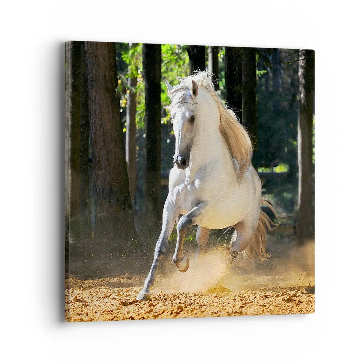 Quadro em tela - Como de um romance de fantasia - 40x40 cm