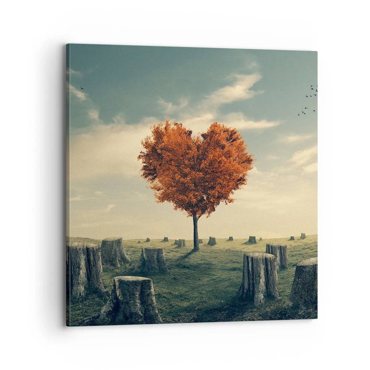 Quadro em tela - Ainda há esperança - 70x70 cm