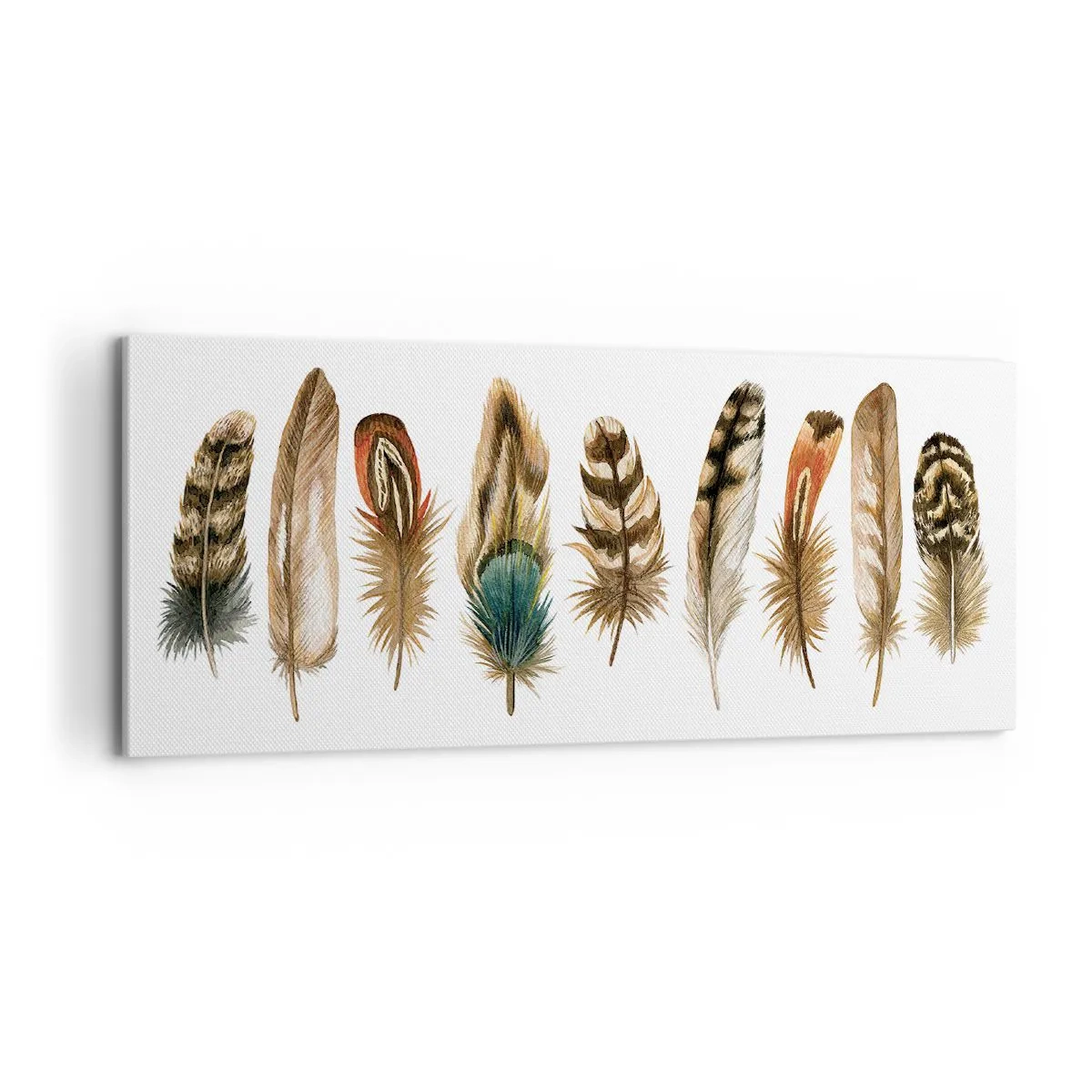 Quadro em tela - Variações de penas - 100x40 cm