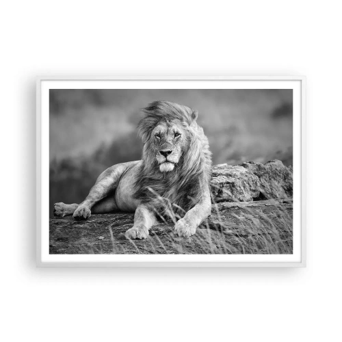 Pôster em moldura branca - Sesta real - 100x70 cm