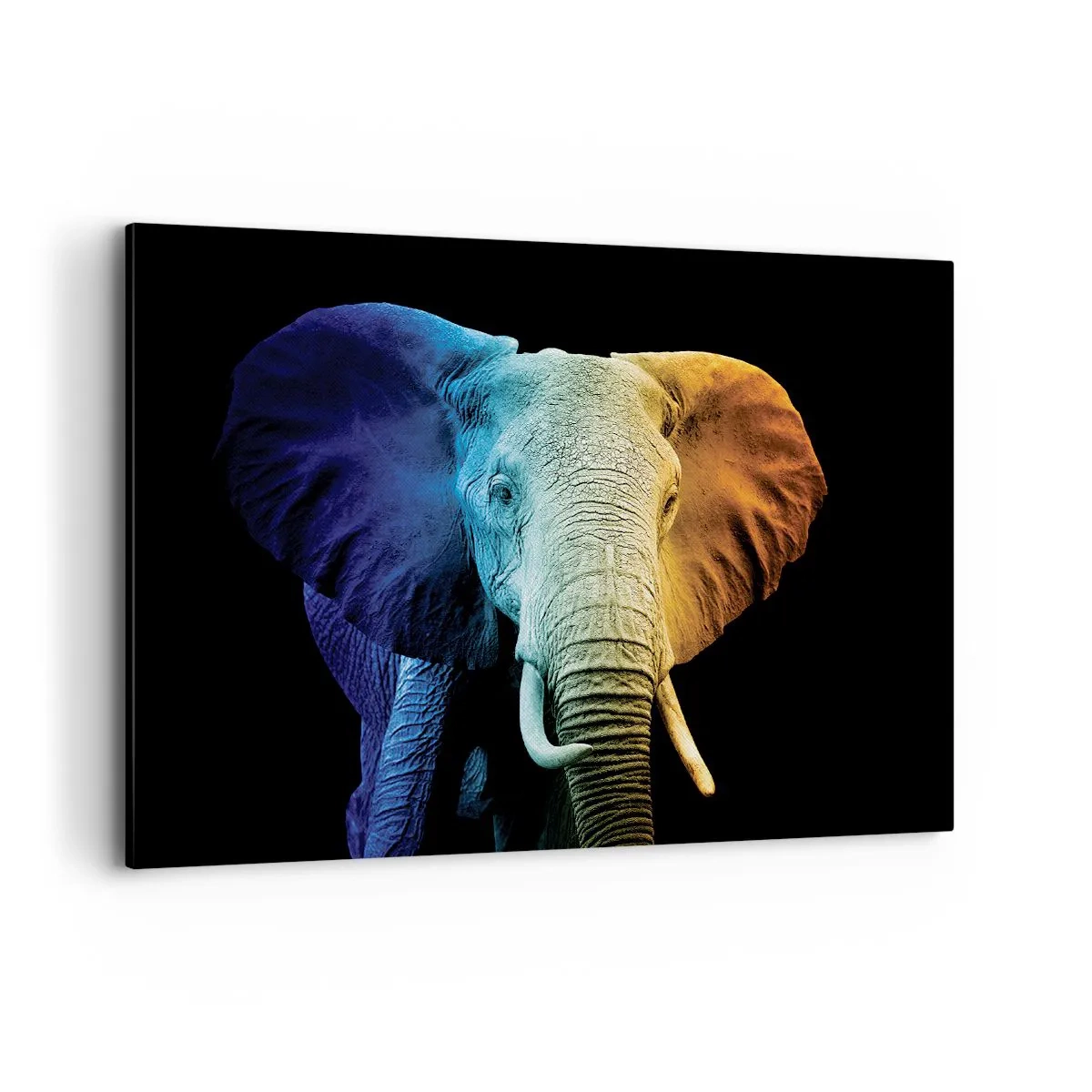 Quadro em tela - Excêntrico, não esquisito - 100x70 cm