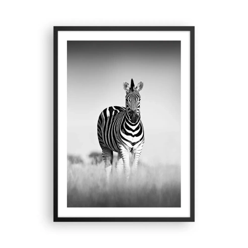 Pôster com moldura preta - Uma zebra em uma composição em preto e branco na savana - 50x70cm - De fato, o mundo é a preto e branco - Decoração de parede moderna para a sala de estar e quarto ARTTOR