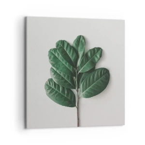 Quadro em tela - Desenho da própria natureza - 60x60 cm