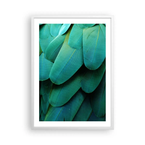 Pôster em moldura branca - Precisão de papagaio - 50x70 cm