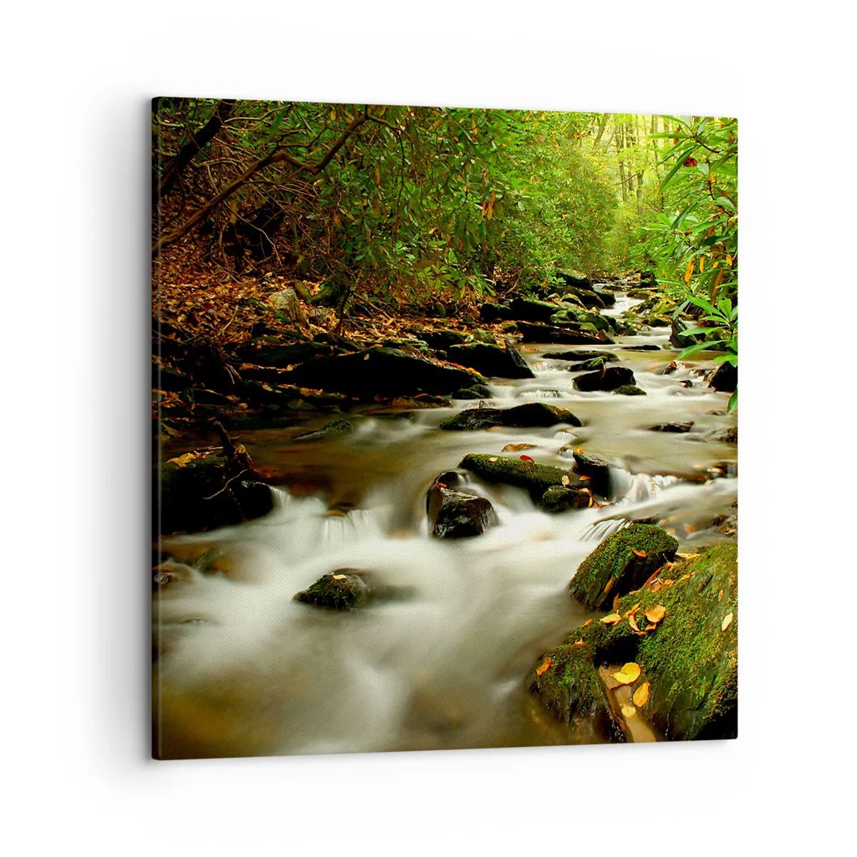 Quadro em tela - Como prata líquida - 50x50 cm
