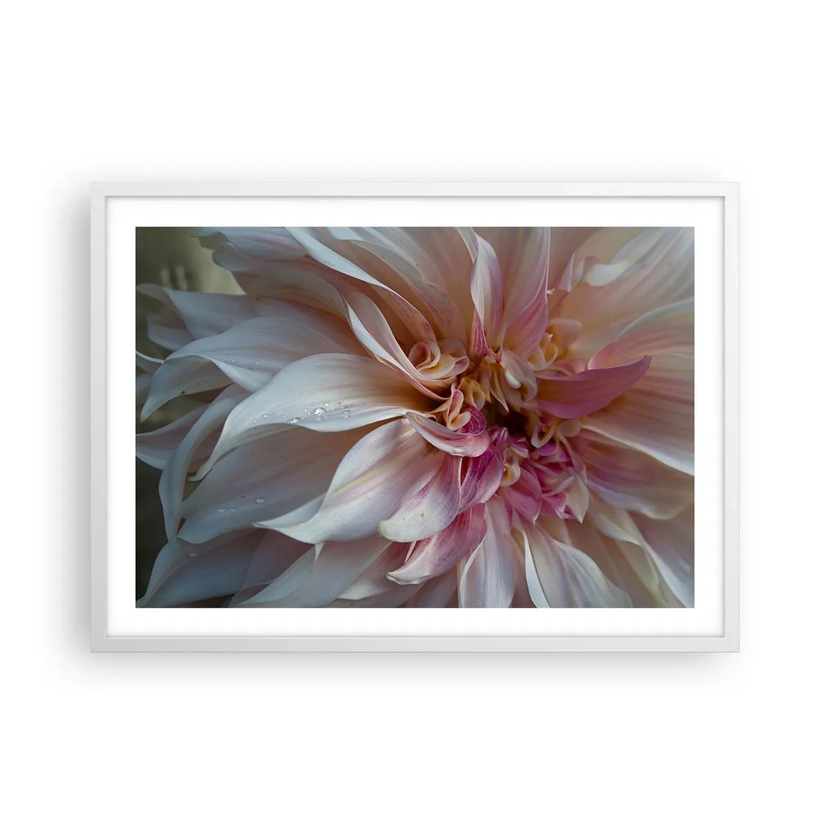 Pôster em moldura branca - Frescor florescente - 70x50 cm