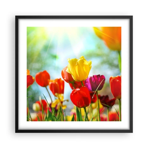 Pôster com moldura preta - Todas as cores do sol - 50x50 cm