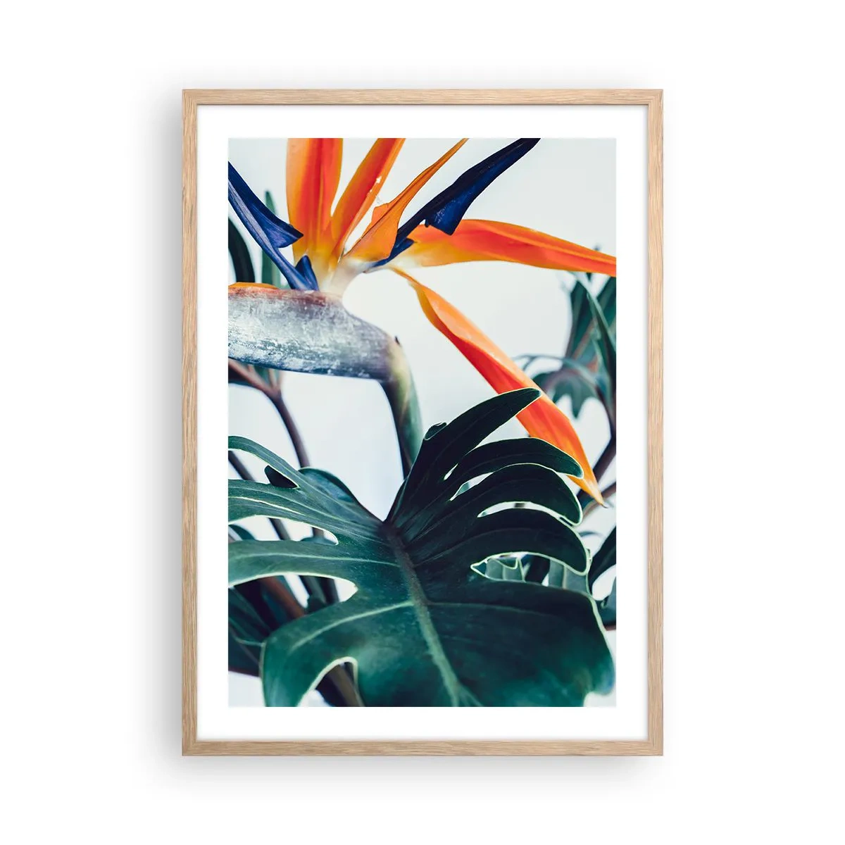 Pôster com moldura de carvalho claro - Arbusto de passarinho - 50x70 cm