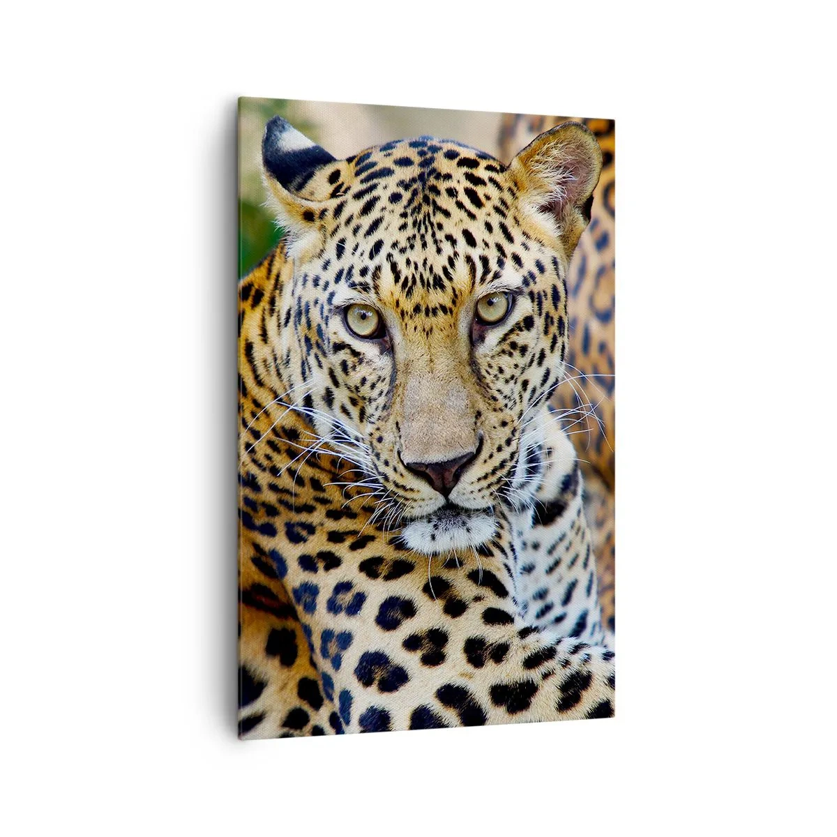 Quadro em tela - Selvagem e tranquilo - 80x120 cm