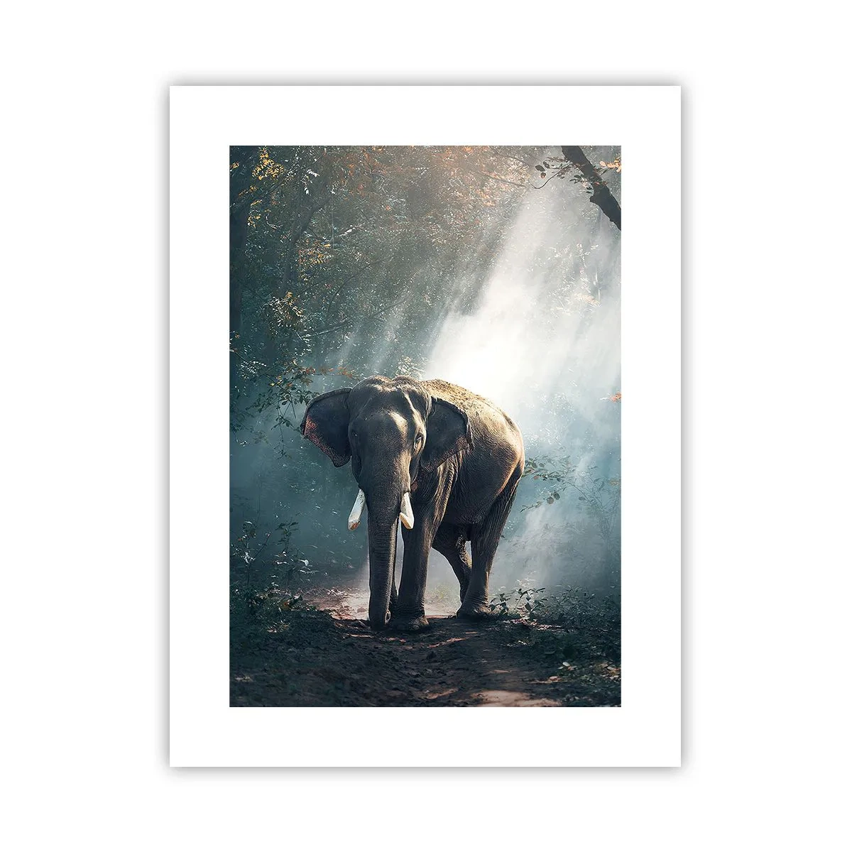 Pôster - Um passeio descontraído - 30x40 cm