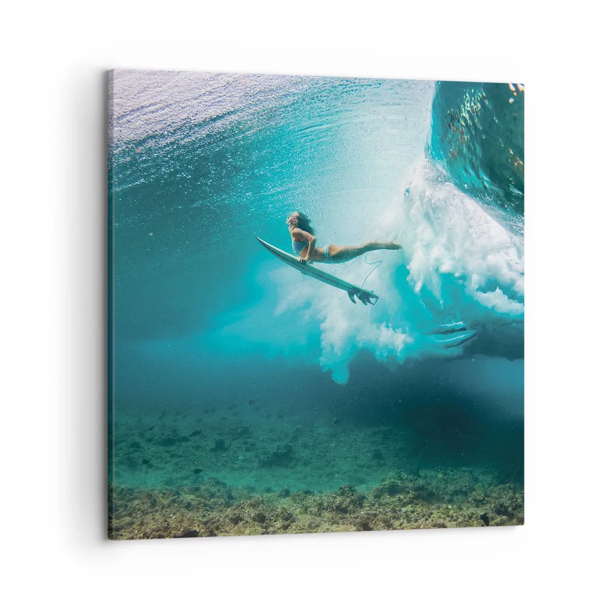 Quadro em tela - O mundo subaquático - 50x50 cm