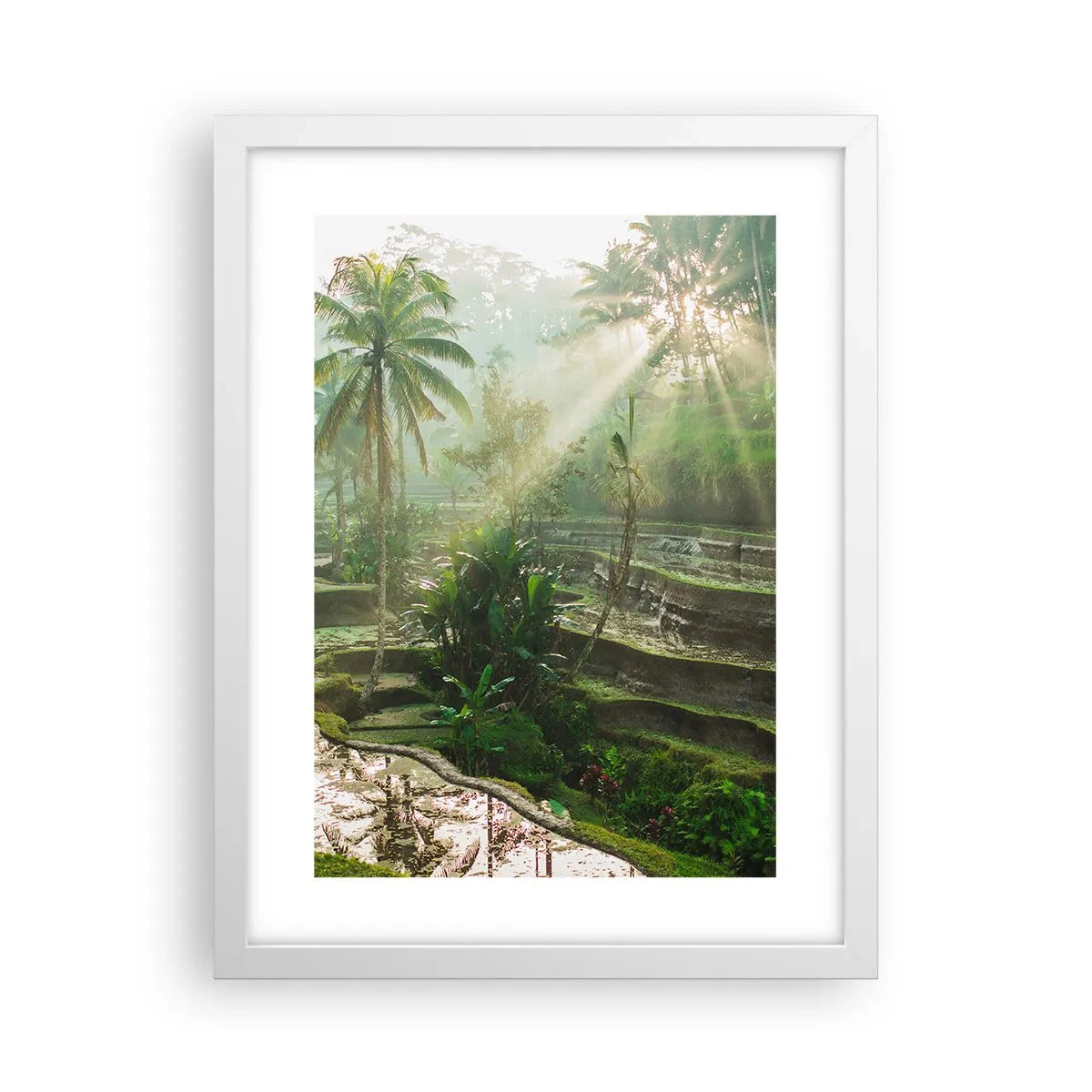 Pôster em moldura branca - Crescer ao sol - 30x40 cm