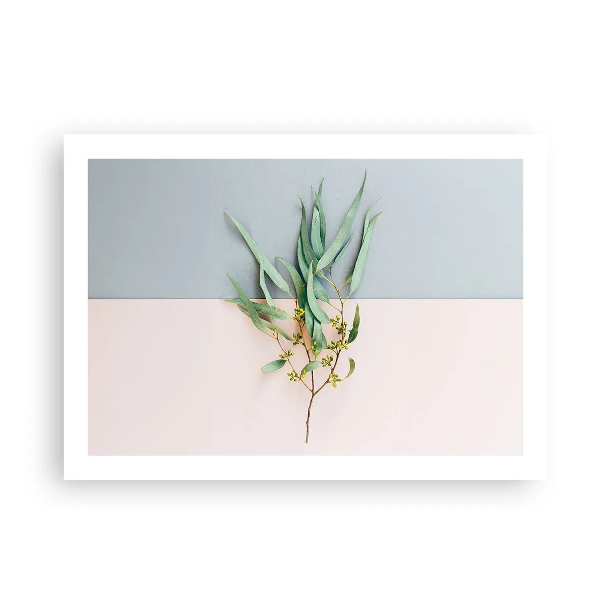 Pôster - Sutileza pastel - 70x50 cm