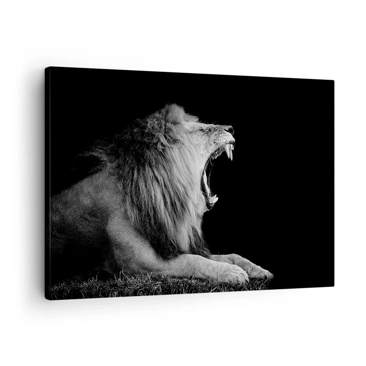 Quadro em tela - Um leão rugindo em um fundo preto em tons de preto e branco - 70x50cm - Sem dúvida alguma - Decoração de parede moderna para a sala de estar e quarto ARTTOR