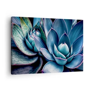Quadro em tela - Agave em tons de azul e verde com detalhes em rosa - 70x50cm - Força vital - Decoração de parede moderna para a sala de estar e quarto ARTTOR