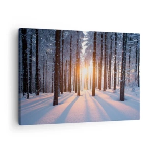 Quadro em tela - Floresta de inverno iluminada pelos raios do sol - 70x50cm - Preto no branco - Decoração de parede moderna para a sala de estar e quarto ARTTOR