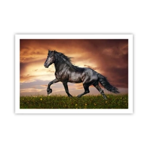 Pôster - O Príncipe Negro - 91x61 cm