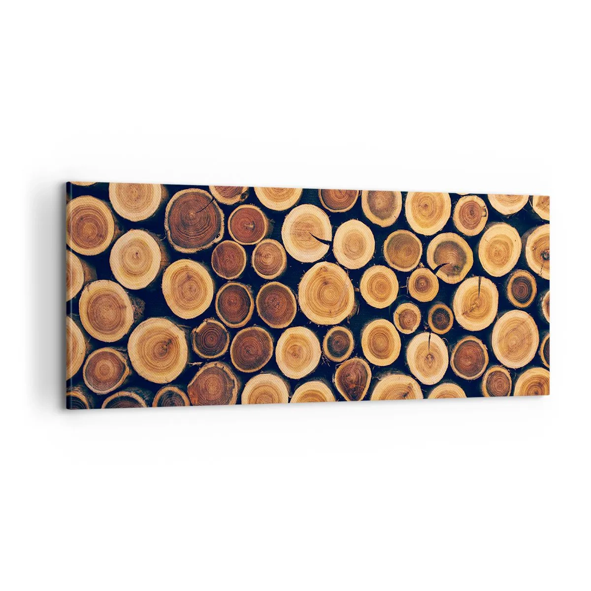 Quadro em tela - Que idade pareço ter? - 100x40 cm