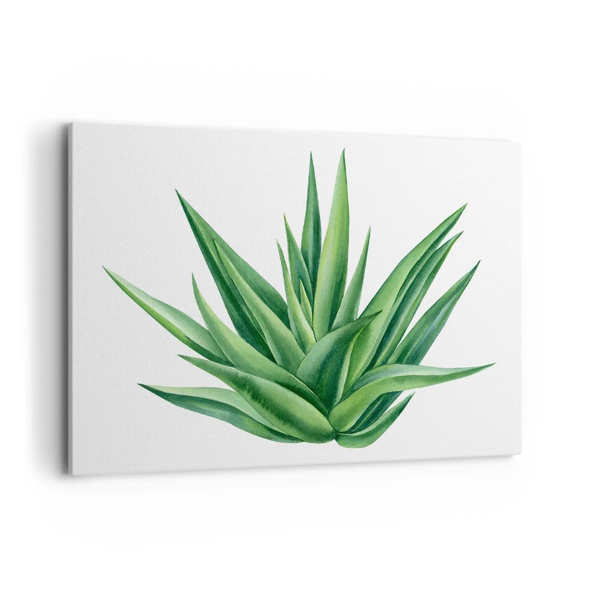 Quadro em tela - Verde – força – vida - 120x80 cm